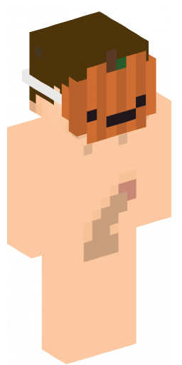 Minecraft Skin #202829
