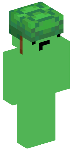 tlefx Minecraft Skin Preview on Minecraft.Co.Com