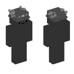 Minecraft Skin #204442