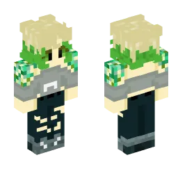 Minecraft Skin #205031