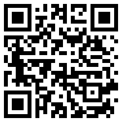_VoidMace_ QR Code