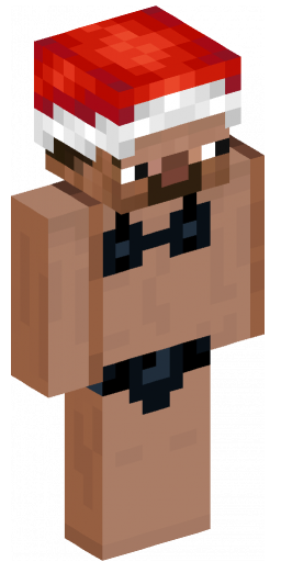 Minecraft Skin #206298