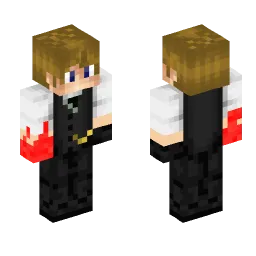 Minecraft Skin #207712