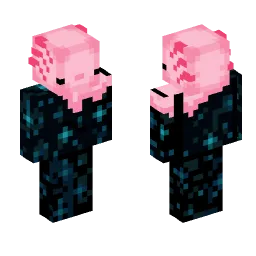 Minecraft Skin #207896