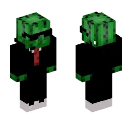 Minecraft Skin #213673