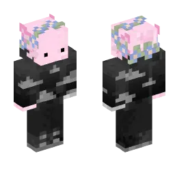 Minecraft Skin #213758