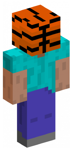 Minecraft Skin #214564