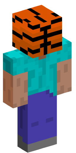 BasketballRace Minecraft Skin Preview on Minecraft.Co.Com