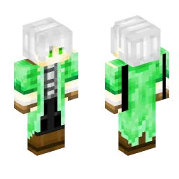 Minecraft Skin #214733