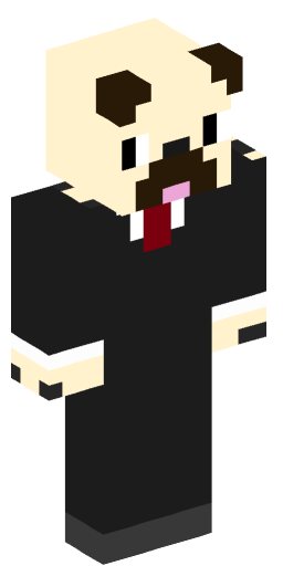 PugsRDubs Minecraft Skin Preview on Minecraft.Co.Com