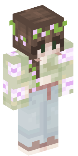 dragonrider817 Minecraft Skin Preview on Minecraft.Co.Com