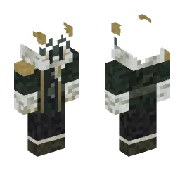 Minecraft Skin #215654