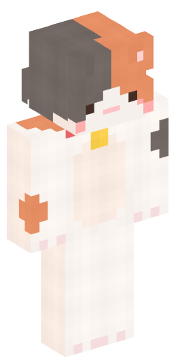 #217325 Minecraft Skin Preview on Minecraft.Co.Com