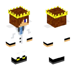 Minecraft Skin #217620