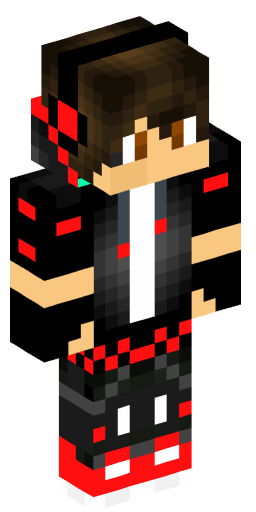 Dolphin8752 Minecraft Skin Preview on Minecraft.Co.Com