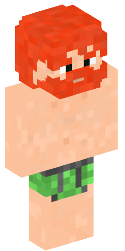 MinecraftNaam Minecraft Skin Preview on Minecraft.Co.Com
