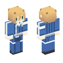 Minecraft Skin #218548