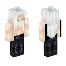Minecraft Skin #218817