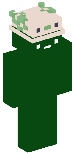 Preen_ Minecraft Skin Preview on Minecraft.Co.Com