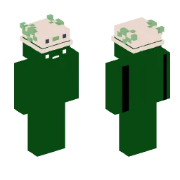 Minecraft Skin #219134