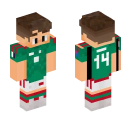 Minecraft Skin #219213