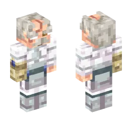 Minecraft Skin #219839