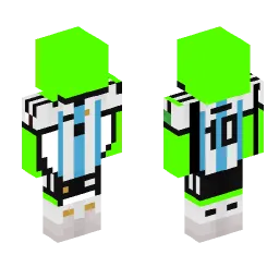 Minecraft Skin #219893