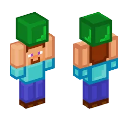 Minecraft Skin #220293