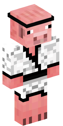 Camper Minecraft Skin Preview on Minecraft.Co.Com