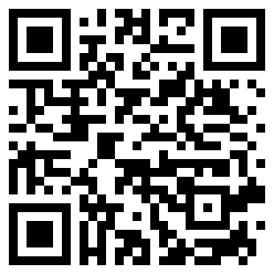 TurtleDude9 QR Code