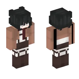 Minecraft Skin #221617