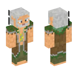 Minecraft Skin #221981