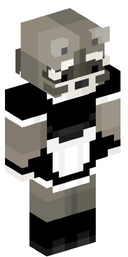 RaccoonCubing Minecraft Skin Preview on Minecraft.Co.Com
