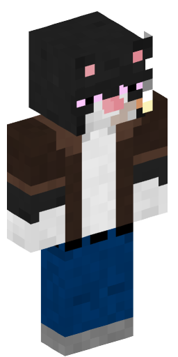 robotsnivy Minecraft Skin Preview on Minecraft.Co.Com