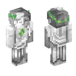 Minecraft Skin #223512
