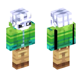 Minecraft Skin #223549