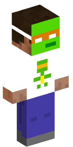 tmntgame10 Minecraft Skin Preview on Minecraft.Co.Com