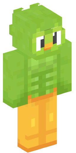 Duolingo273 Minecraft Skin Preview on Minecraft.Co.Com