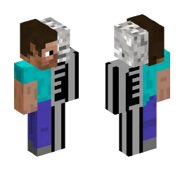 Minecraft Skin #225505