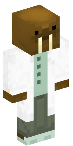BedwarsIsToxic Minecraft Skin Preview on Minecraft.Co.Com