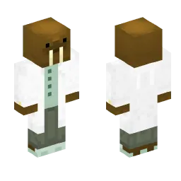 Minecraft Skin #225991