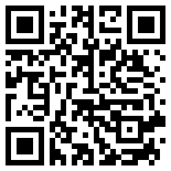Vessel4D QR Code