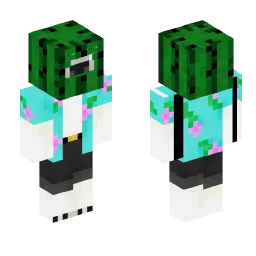 Minecraft Skin #226444