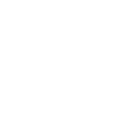 Minecraft Skin #226811