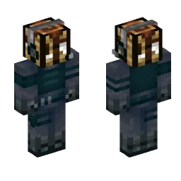 Minecraft Skin #227510