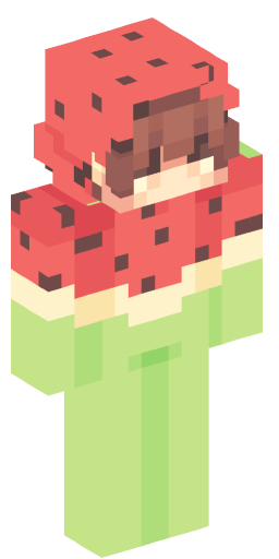 Zorro2376 Minecraft Skin Preview on Minecraft.Co.Com