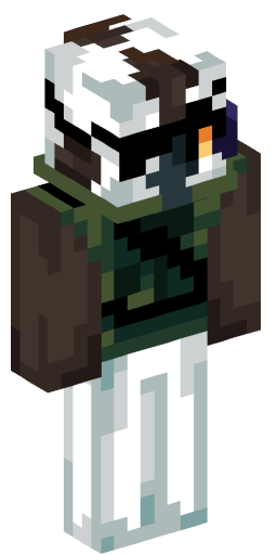 HornetFan221 Minecraft Skin Preview on Minecraft.Co.Com