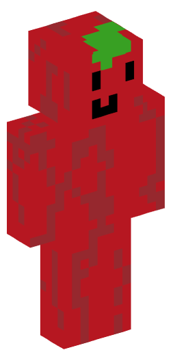 Thomas0305 Minecraft Skin Preview on Minecraft.Co.Com