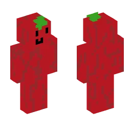 Minecraft Skin #229142