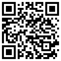 BorjaPuntoEXE QR Code